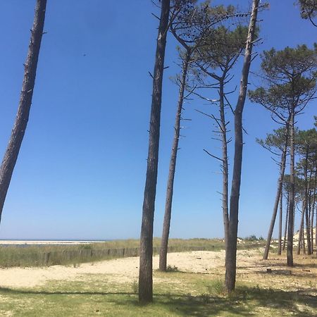 Appartement Spacieux Arcachon Exteriör bild