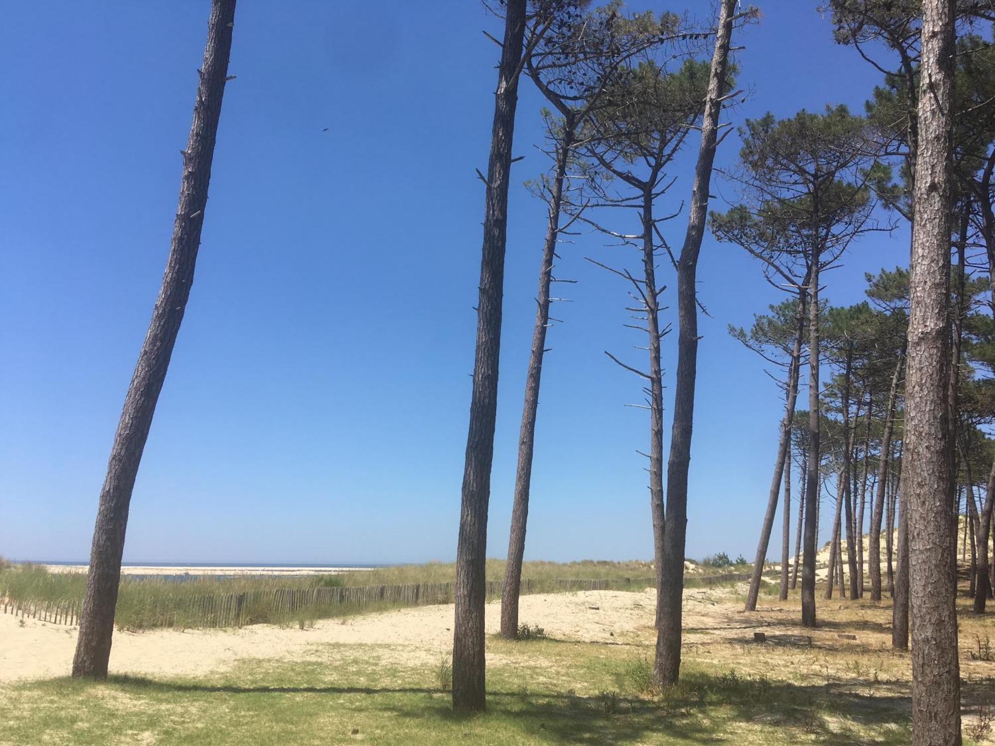 Appartement Spacieux Arcachon Exteriör bild