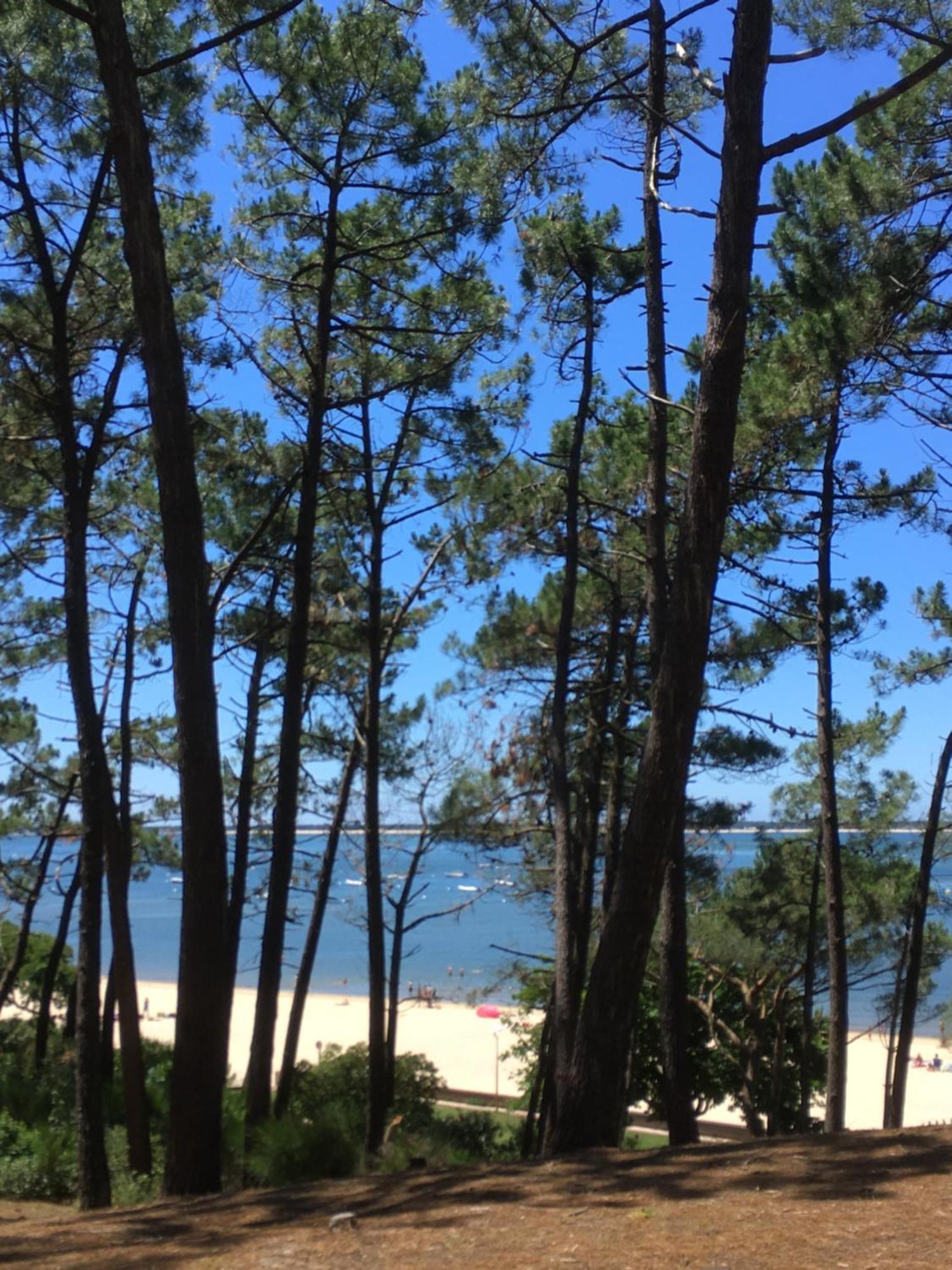 Appartement Spacieux Arcachon Exteriör bild